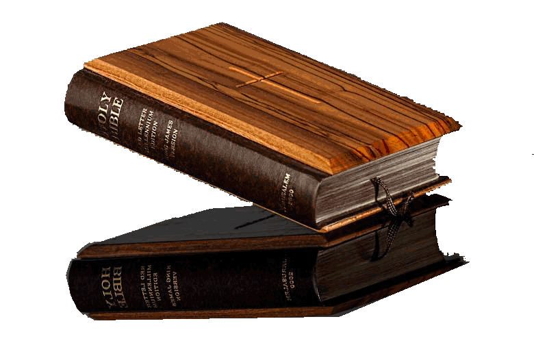 Bibles in Translation